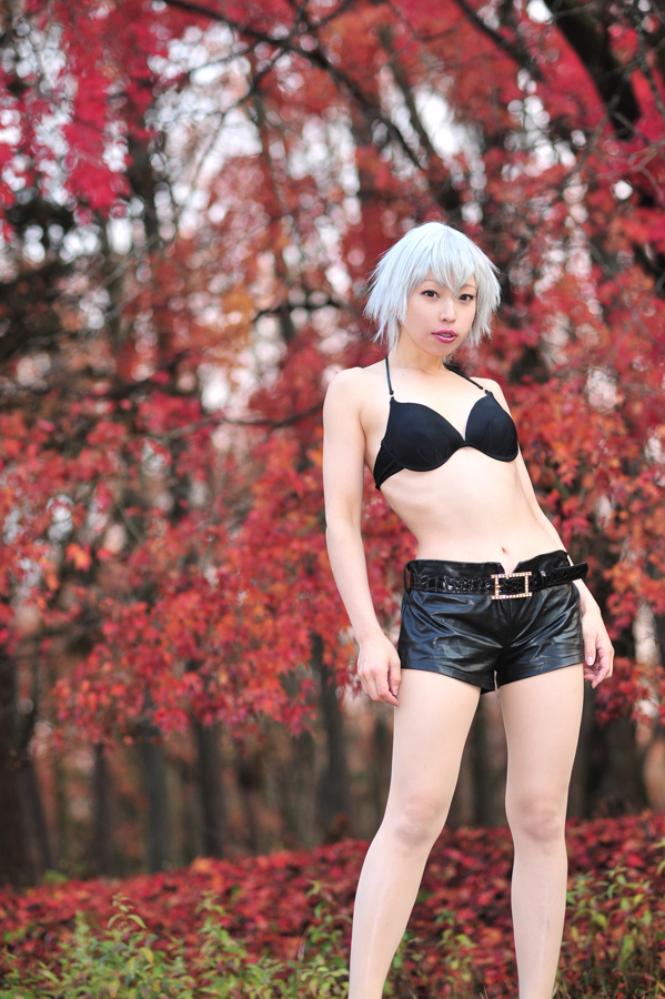 [Cosplay] 2013.03.28 New Dead Or Alive Cosplay gallery