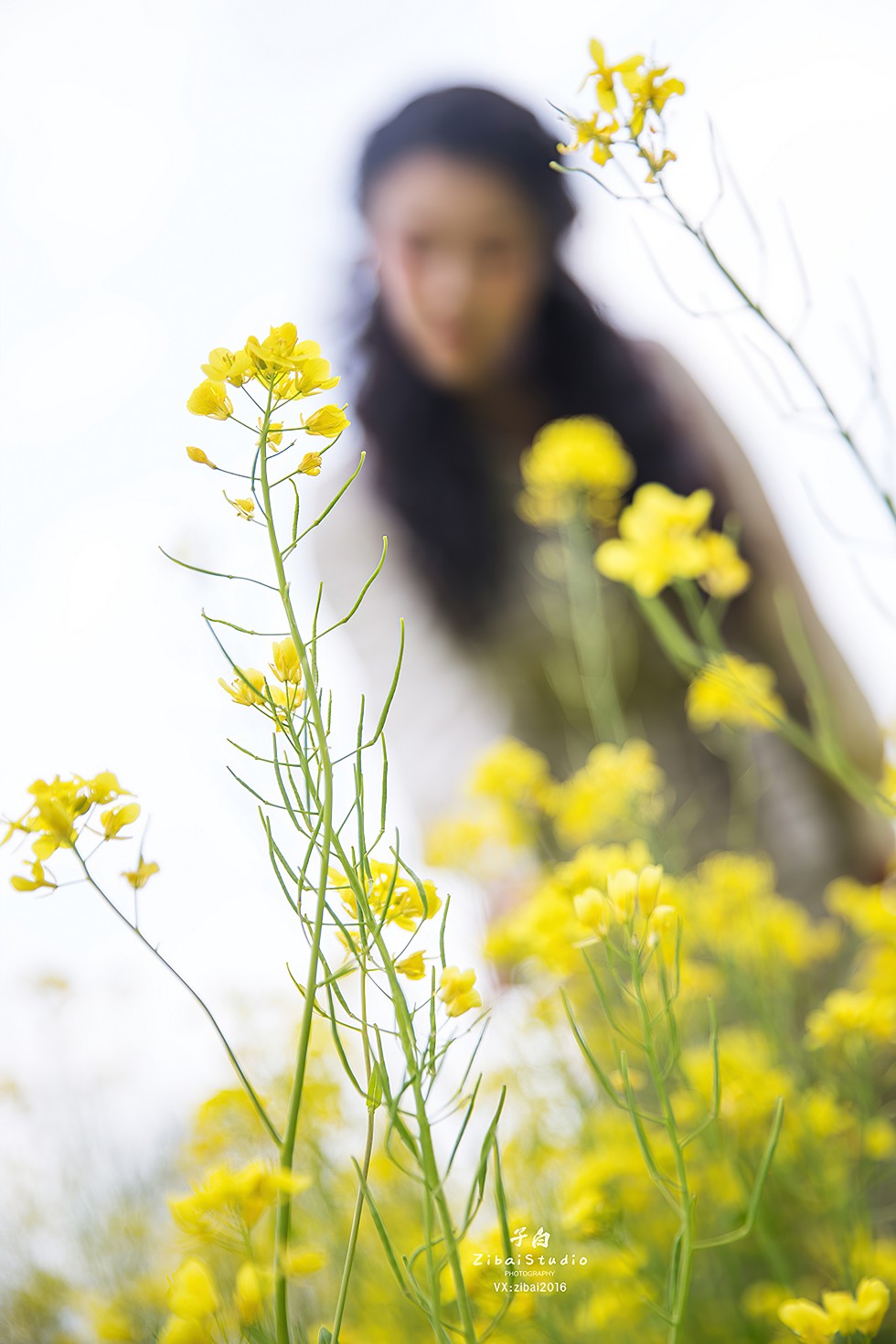 [Toutiao头条女神]No.826_嫩模钟晴户外油菜花丛中格子连身裙靓丽迷人写真9P_极品性感美女