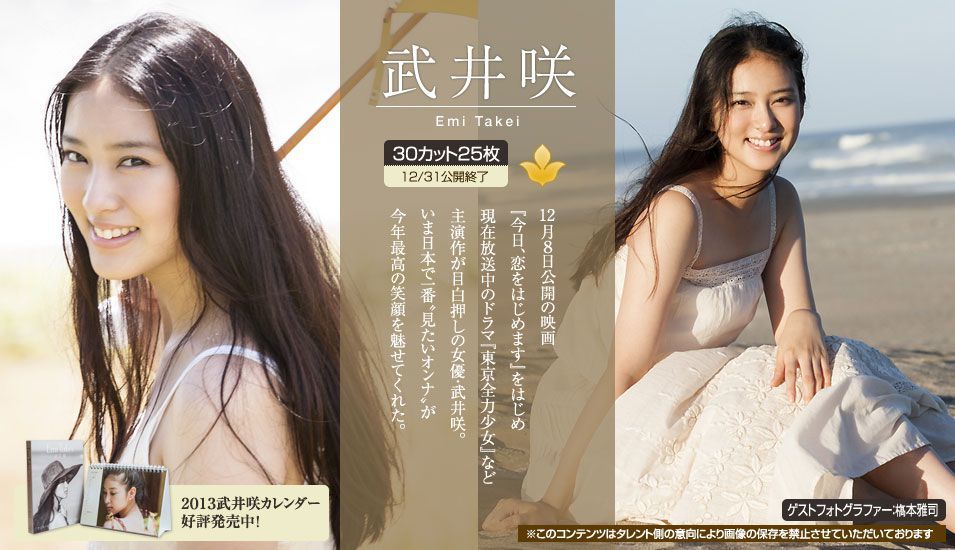 武井咲 Emi Takei 《2012年12月刊号》 [Image.tv] 写真集