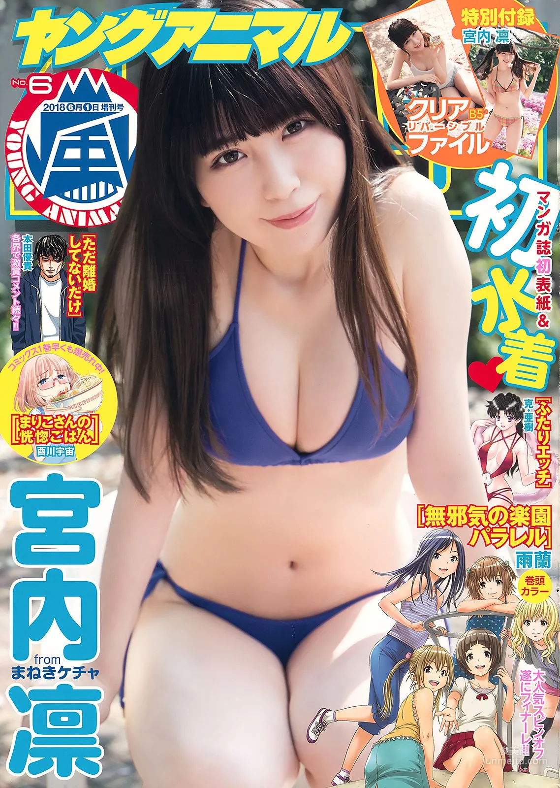 宮内凛 Rin Miyauchi [Young Animal Arashi] 岚特刊2018年No.06 写真杂志